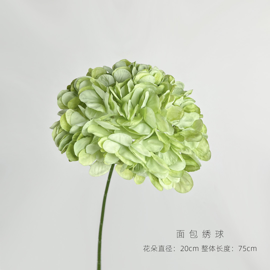 浅绿.jpg
