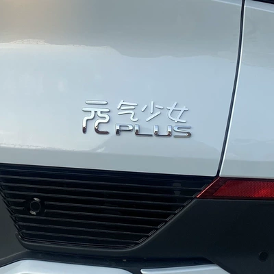 up Car 24 Models Full: Car interior film - 3d-three-dimensional-gas-girl-character-stickers