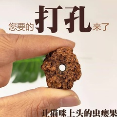 猫咪啃咬玩具打孔虫瘿果颗粒果实猫咪玩具配件猫人参木天蓼子