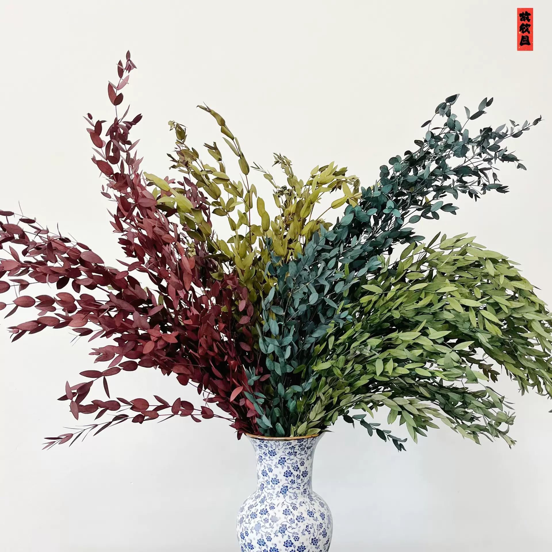 永生细叶尤加利 云南厂家批发美叶桉永生花干花花束 家居装饰花材
