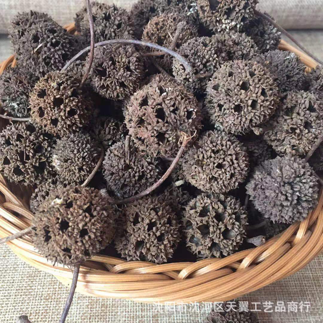 56d9c03691949e58b9fee4f6f410a2