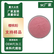 樱桃粉 樱桃果粉 天然维生素C 固体饮料专用1kg包装 免费发样包邮