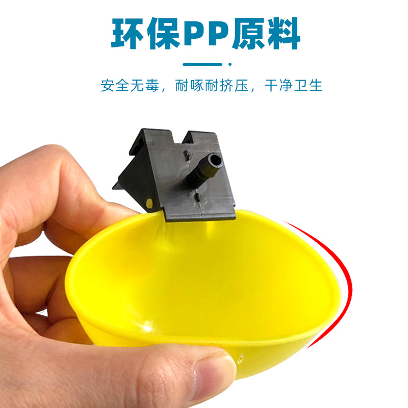 Chickens, ducks, geese feed pigeons with water bowls; pigeons use drinking fountains; quail raise chickens with automatic water bowls; small self-watering bowls for poultry as accessories.