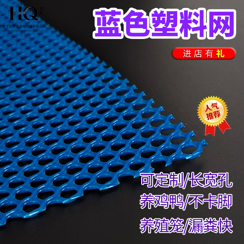 源头工厂耐酸碱耐腐蚀蓝色塑料网塑料网格围栏网塑料网格网塑料网