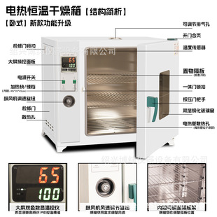 廠家直銷電熱恆溫鼓風干燥箱烘干機小型高溫工業用烤箱商用實驗室