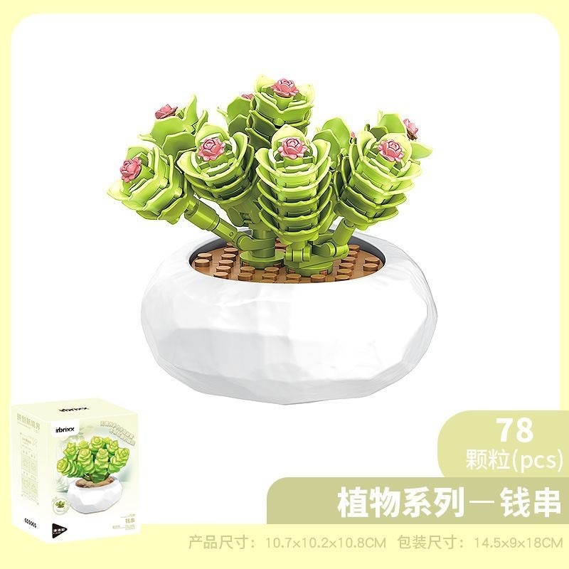 ペンローズ多肉植物ビルディングブロック花植物ビルディングブロック鉢植えデスクトップ装飾品ホリデーギフトビルディングブロック|undefined