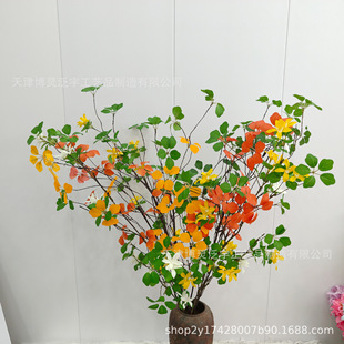 �����^��ɏ�~���y������G�~�҃ȾGֲ�ٻ��廨�쾰���üҾӔ[��