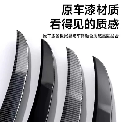 Fixed wind wing | Fiber High-Performance Sports Version