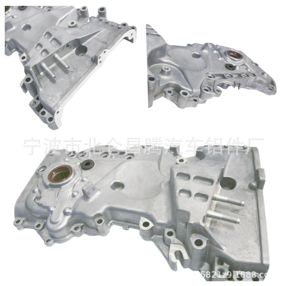 Manufacturer High Temperature Resistant Oil Pump 213502E310/E311/E320 Engine Timing Shell Fuel Pump