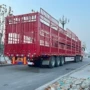 升降两层仓栏畜禽半挂车