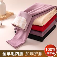 护膝羊毛女士保暖裤秋裤内穿秋冬季加绒加厚护膝德绒大码打底衬裤