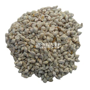 �ٺ� ��ș�� �ۺ� ������ ������ ������ ���ӹ������� ����ă�