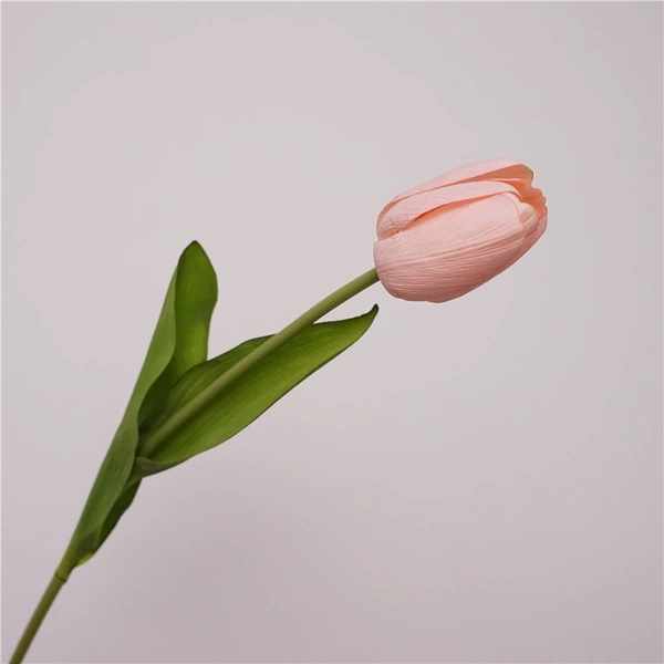 Single branches of Dawu Gold-Light Pink