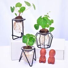 ˮ��Gֲɽ�����t�وA�~�𲻓Q�����҃��k���ҷ�ݗ������՚⻨��