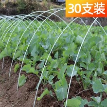 搭菜园棚架杆蔬菜拱棚支架拱杆菜地骨架农用大棚育苗秧苗新型实心