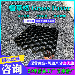 ȫ���Ϻ�ɫֲ�ݸ�Grass Paver�@��ͣ܇��ֲ�ݸ�� ƽ�ڲ�ƺ�����
