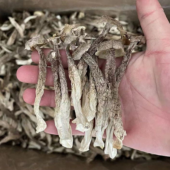 c2c7eaade6d90dd44e260f5c8e8b10