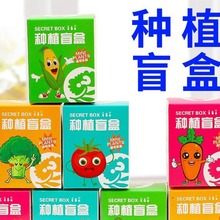 儿童植物种植盆栽盲盒小学生开学网红小礼物奖励小朋友升学小礼品