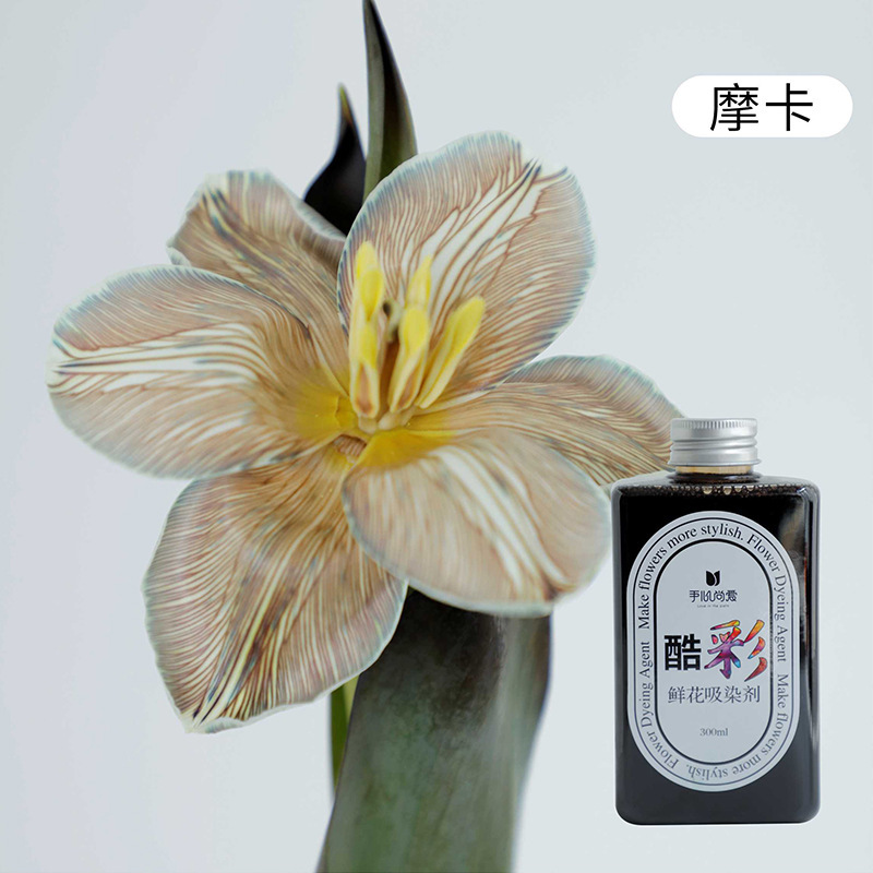 Absorbente económico (Mocha/300ml); una variedad de opciones