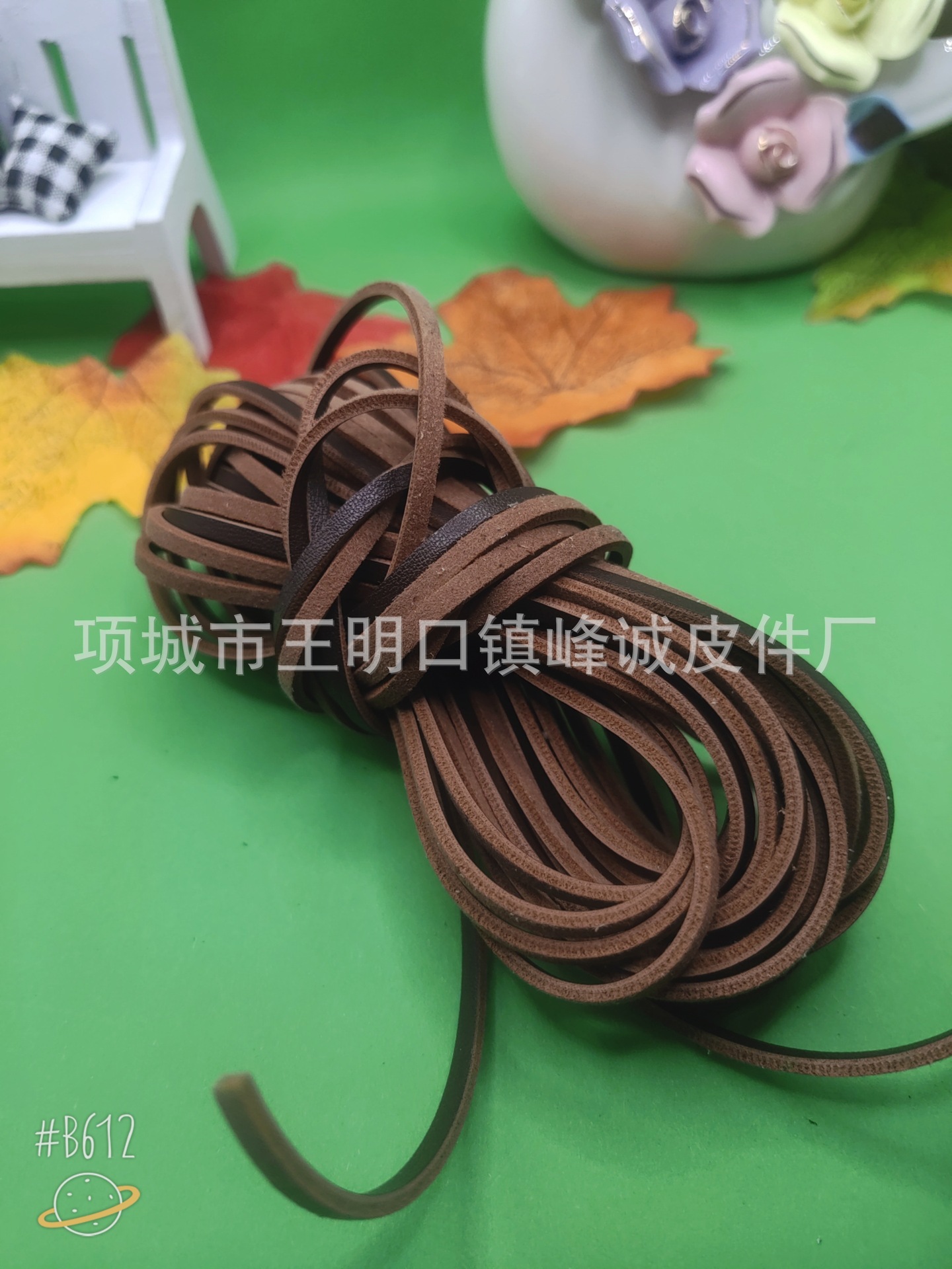 B612Kaji_20240119_203750_628