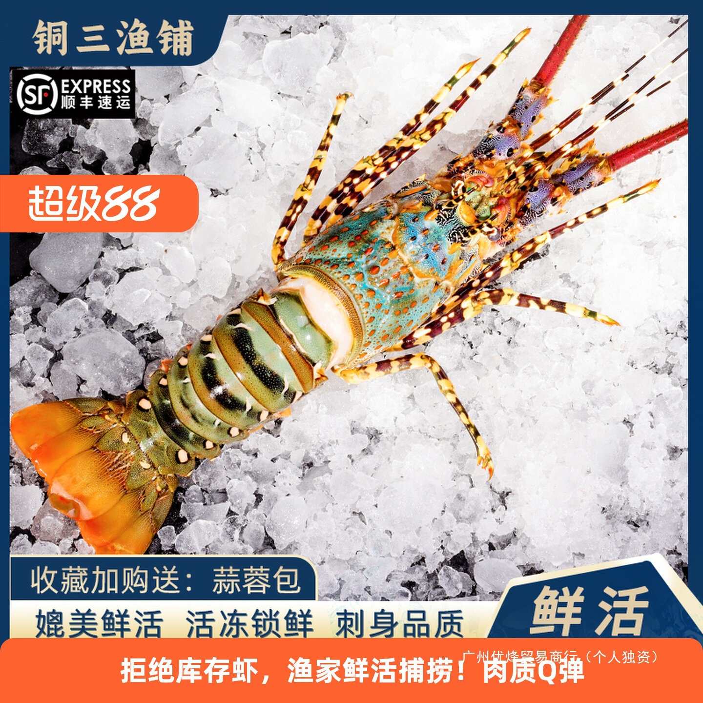 澳洲大龙虾特大3-8斤大花龙鲜活速冻小青龙波龙深水虾海捕鲜水产