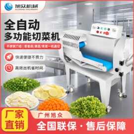 全自动商用切菜机根茎类切片切丝切丁机设备餐厅饭店蔬菜切割机