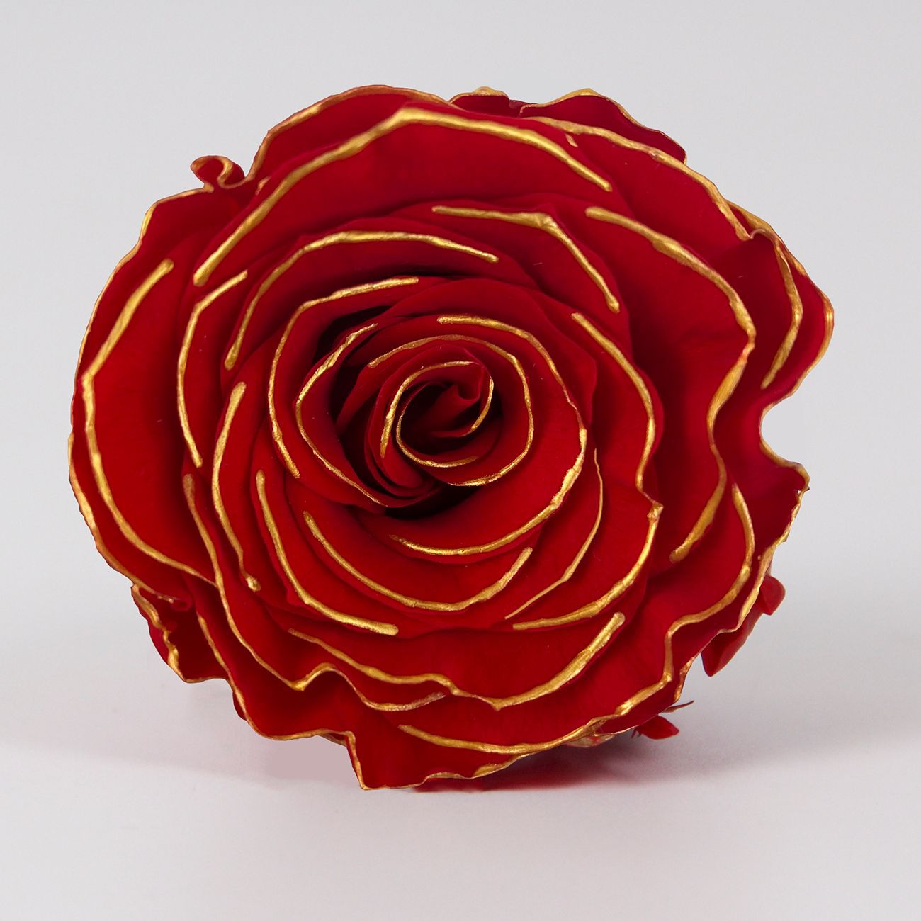 Grado una flor eterna pequeña fragancia Rosa fragancia serie de canciones Borde negro Rosa delineador de ojos flor seca floral caja de regalo de enseñanza ramo