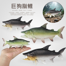 �羳���溣����ģ��ʵ�ľ޹�֬��С�������з���������ͯ���