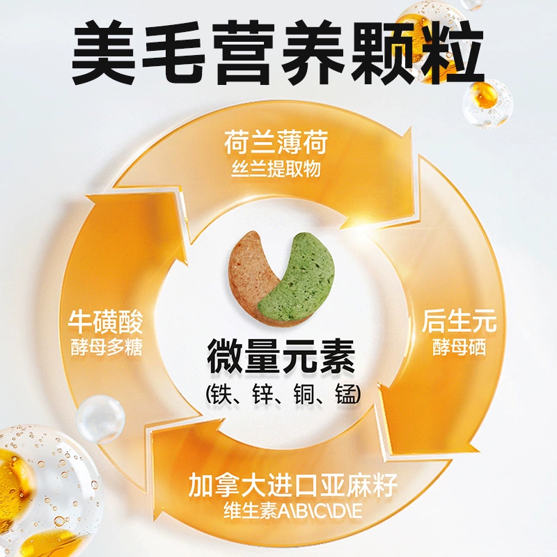 6BVQ корм для хомяков, маленький золотой медведь, питательные продукты, основные продукты питания, полный набор любимого корма, мучные черви