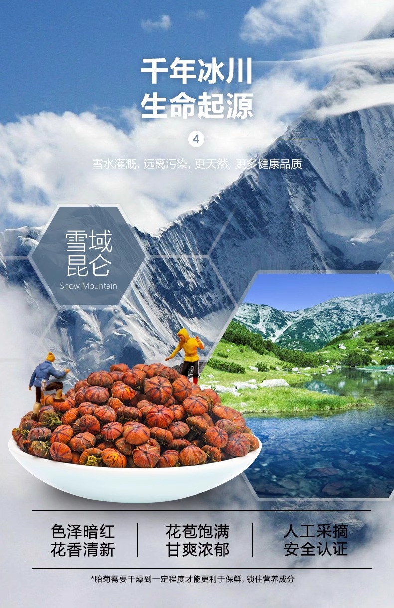 Snow Chrysanthemum Xue Tai Ju Herbal Tea 200g Can Dried Kunlun Snow Chrysanthemum Flowers for Daily Brewing in use