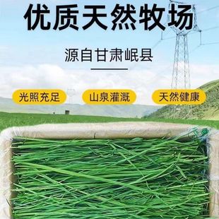 25���º����Ħ���ɲ�������؈���m�i�������������Ī������ݶ�