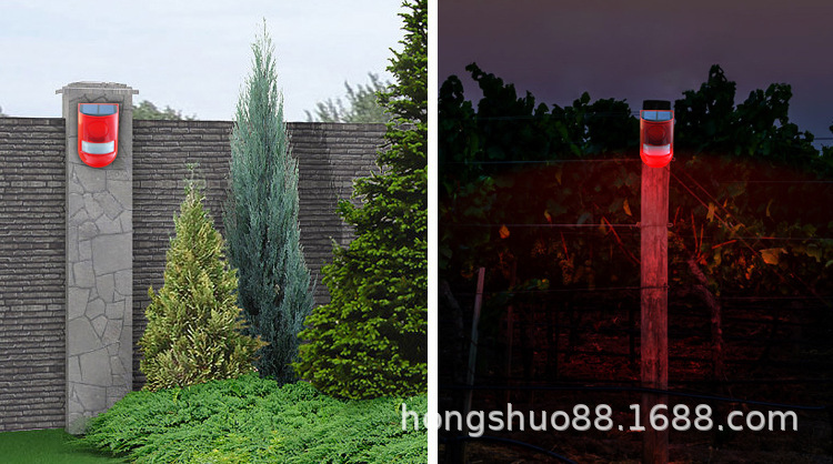 10794532665_320935994