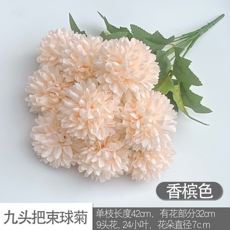 Nine -headed ball chrysanthemum champagne color