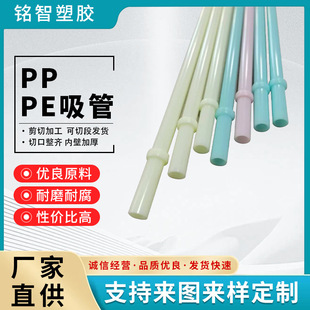 Pp Pe Straw Pure Colorful with Ring Extended Pe Straw Reusable Colorfulful Plastic Straw Processing and Customization