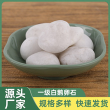 佛山直批一级白鹅卵石园林庭院铺路花园装饰鹅卵石枯山水点缀石头