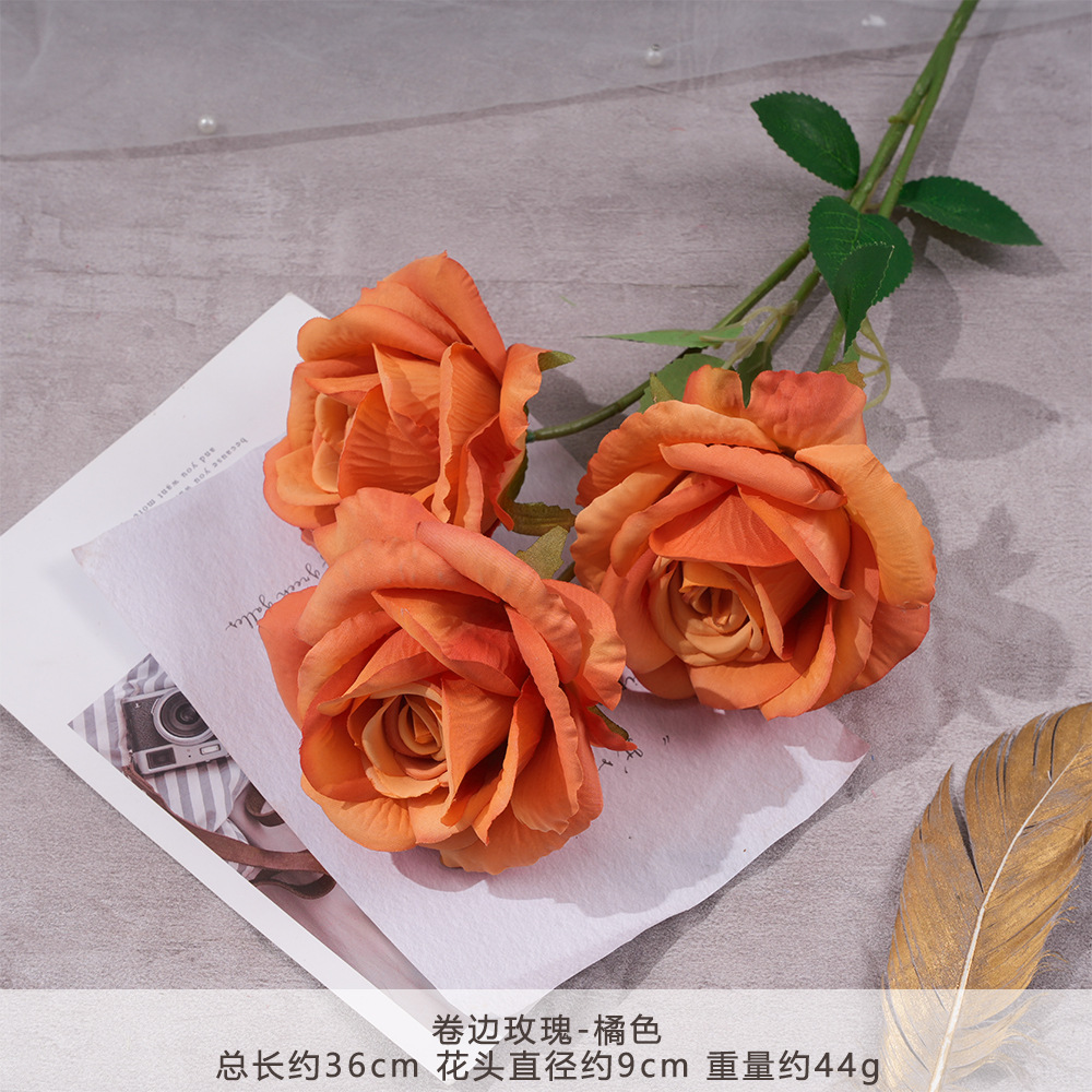 MJ - Hoa hồng cuộn mép - Cam
