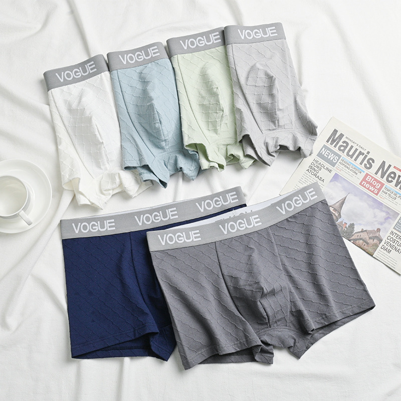 Men's Underwear Pure Cotton Antibacterial Inner Boxer Briefs for Boys Comfortable and Transparent Ins Style Youth Air Boxer Briefs