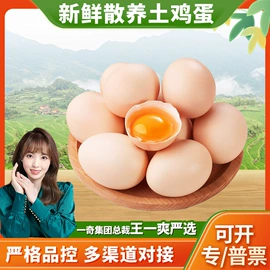 代用/养生茶;苹果;橙