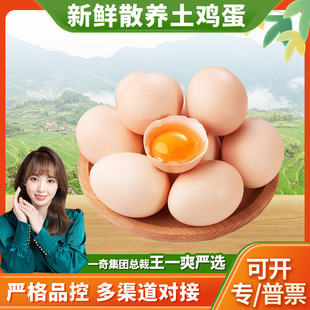 �����x������ɢ�B���u��  ���l6/30ö�����S�r�u�����Ӱ�Ƥ���u��