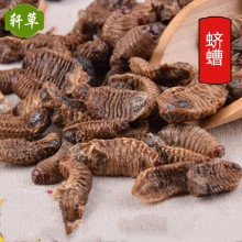 ������ș��ϓ�e������ĸ�x�����Q