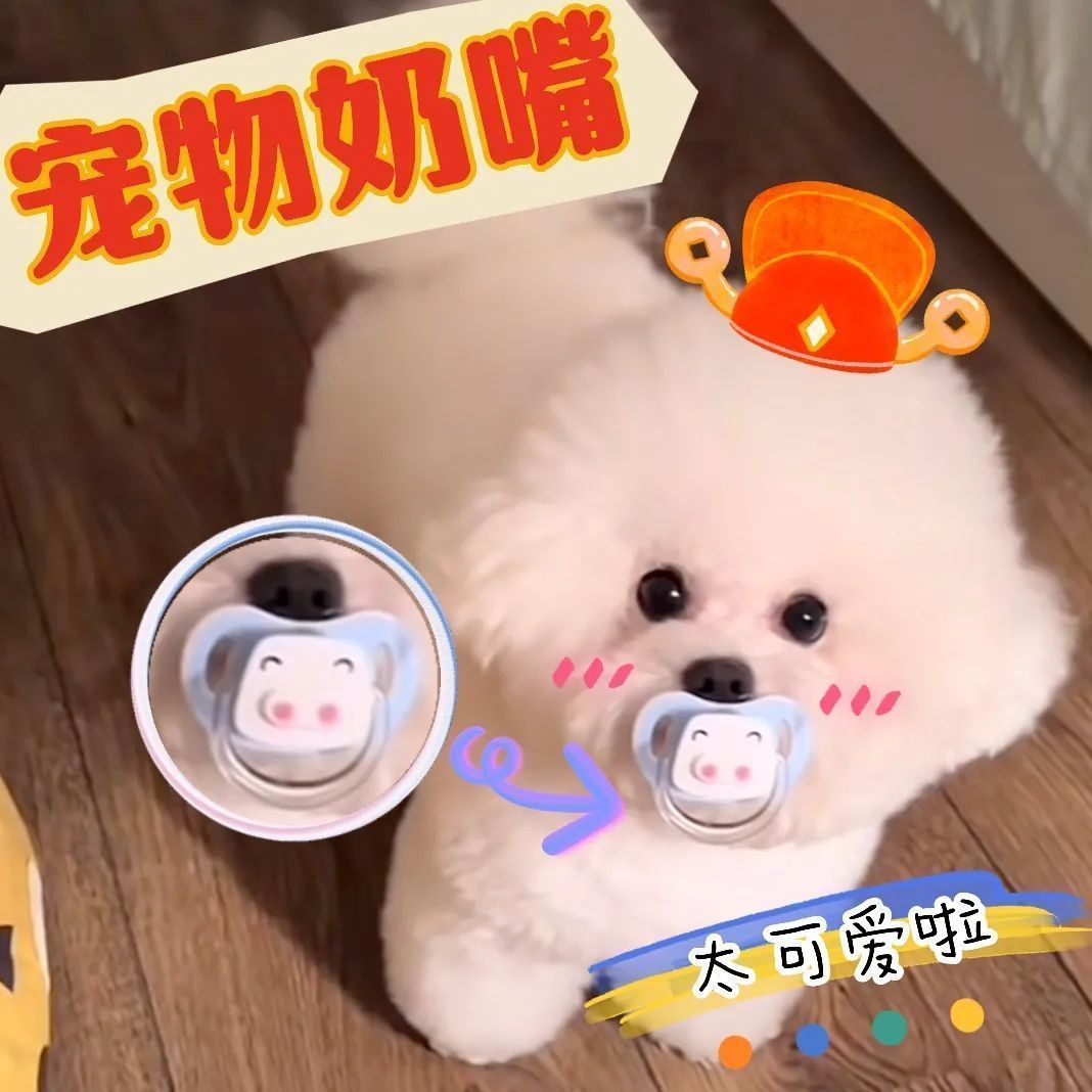 Pet Toy Puppy Teething to Relieve Boredom Puppy Bichon Newborn Sleeping Bionic Pacifier Dog Special Pacifier