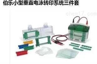 ����Bio-RadС�ʹ�ֱ�Ӿ�Dӡϵ�y(�Ӿ��+�Dӡо+���A�Դ)16580