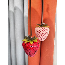 �¿�ݮ����������w����ݮ�ɐے��TB��������Ƥ�ֹ��b�Ʒ