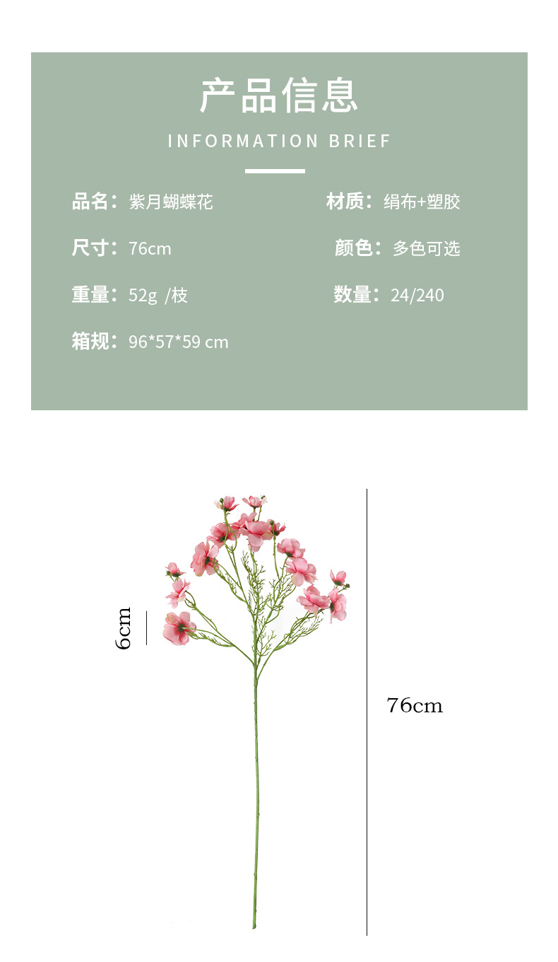 紫月蝴蝶花_03.jpg