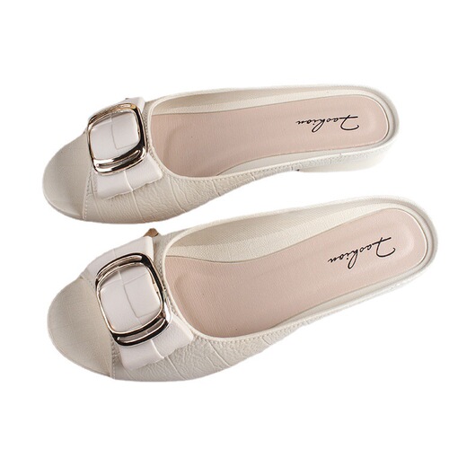 Holly Shark New Ladies Summer Half Slippers Fashion Square Buckle Casual Thick Heel Outdoor Wear Flat Bottom Daily Flip Flops 