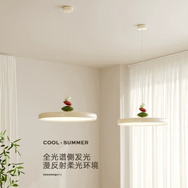 吸顶灯;吊灯;风扇灯