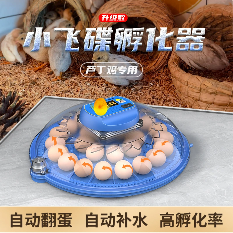 Маленький инкубатор для яиц в виде летающей тарелки, мини-инкубатор для дома, интеллектуальный полностью автоматический инкубатор для птичьих и куриных яиц.