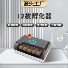 工厂直供12枚微型智能鸡蛋孵化器 跨境家用照蛋养殖种蛋孵蛋机