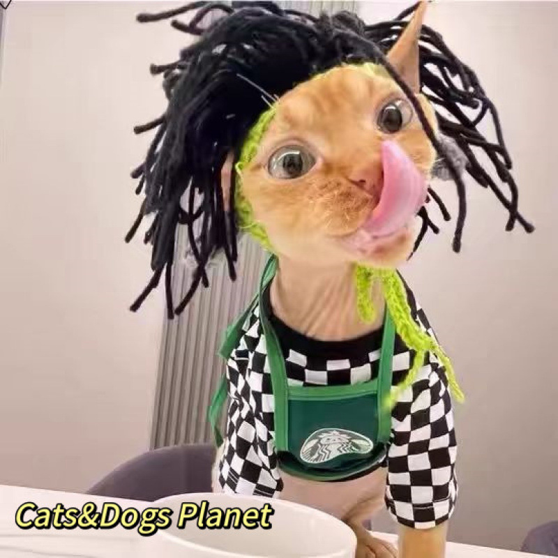 猫かわいい面白い女装帽子ペット帽子ゴールデングラデーション英国ショートヘアデボン犬ハンバーガーヘッドギア漫画帽子|undefined