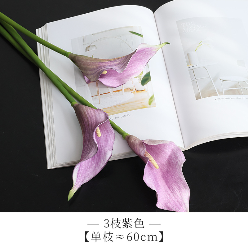 보라색 단일 지점